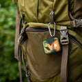 National Parks Voyageurs HDX Apple Airpods Gen 1 & 2 Case Cover by Affinity Bands