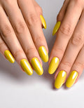 NEW! Attain Color - Sunshine by Attain Cosmetics