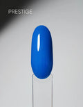 NEW! The Attain Spring/Summer 2026 Collection Color Bundle by Attain Cosmetics