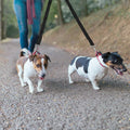 No-Tangle Dual Dogs Leash by DailySale