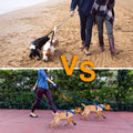 No-Tangle Dual Dogs Leash by DailySale