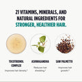 Nutrafol Men's Hair Growth Supplement 3-Month Supply by Nava Beauty