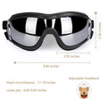 NVTED Dog Sunglasses with Adjustable Strap for Medium or Large Dog by DailySale