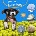 NVTED Dog Sunglasses with Adjustable Strap for Medium or Large Dog by DailySale