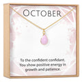 October Birthstone / Pink Tourmaline Crystal Charm Necklace by Dear Ava