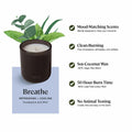 Sprig by Kohler Breathe Aromatherapy Candle with Eucalyptus and Mint -8 oz by Deal US