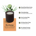 Sprig by Kohler Recharge Aromatherapy Candle with Bergamot and Lemongrass - 8 oz by Deal US