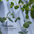 Sprig by Kohler Breathe Aromatherapy Candle with Eucalyptus and Mint -8 oz by Deal US