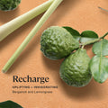 Sprig by Kohler Recharge Aromatherapy Candle with Bergamot and Lemongrass - 8 oz by Deal US