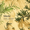 Sprig by Kohler Shield Aromatherapy Candle with Tea Tree and Rosemary - 8 oz by Deal US