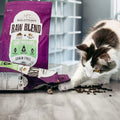 BB01/25 Stella & Chewy's Raw Blend Cat Food 2.5 lb Grain Free Protein Rich Poultry by Deal US