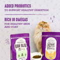 BB01/25 Stella & Chewy's Raw Blend Cat Food 2.5 lb Grain Free Protein Rich Poultry by Deal US