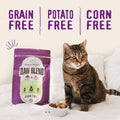 BB01/25 Stella & Chewy's Raw Blend Cat Food 2.5 lb Grain Free Protein Rich Poultry by Deal US