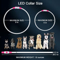 Flycoco LED Rechargeable Dog Collar Light Pink USB Adjustable Safety by Deal US