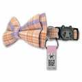NaviTagi Cat Breakaway Collar XS Bell Bow Tie Personalized QR ID Kitten Adult by Deal US