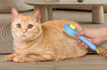 Landwill Pet Brush Yellow Bear Self Cleaning Grooming Tool for Cats & Dogs by Deal US