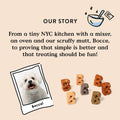 BestBy01/25 Bocce's Bakery Good Hair Dog Treats Salmon 6oz Soft Chewy Wheat-Free by Deal US