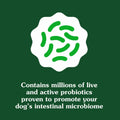 BestBy01/25 Greenies Digestive Health Probiotics DogTreats Chicken 7.8oz 40ct by Deal US
