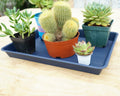 VUWEZ Plant Saucer Tray 11x9in, Heavy Sturdy Plastic Drainage Tray, 1 Pack by Deal US