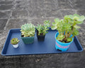 VUWEZ Plant Saucer Tray 11x9in, Heavy Sturdy Plastic Drainage Tray, 1 Pack by Deal US