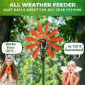 Nature Anywhere Fun Flowers Suet Feeder 3 Pack Outdoor Hanging Bird Feeder by Deal US
