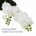 Angerlo 13" White Artificial Butterfly Orchid Ceramic Vase Decor by Deal US