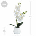 Angerlo 13" White Artificial Butterfly Orchid Ceramic Vase Decor by Deal US