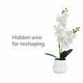 Angerlo 13" White Artificial Butterfly Orchid Ceramic Vase Decor by Deal US