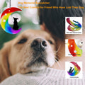 Dog Memorial Suncatcher Stained Glass Window Hanging Pet Sympathy Gift by Deal US