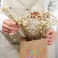 Dried Daisy Flowers Brazilian Small Star Mini Chamomile White Wedding Decor by Deal US