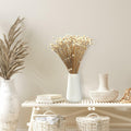 Dried Daisy Flowers Brazilian Small Star Mini Chamomile White Wedding Decor by Deal US