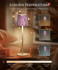 Faithorse Cordless Table Lamp Oil Painting Series Dimmable Pink 5200mAh by Deal US