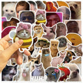 50PCS Funny Meme Vinyl Waterproof Stickers for Water Bottles Laptop Computer by Deal US