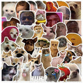 50PCS Funny Meme Vinyl Waterproof Stickers for Water Bottles Laptop Computer by Deal US
