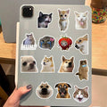 50PCS Funny Meme Vinyl Waterproof Stickers for Water Bottles Laptop Computer by Deal US
