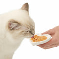 BestBy06/25 Catit Creamy Lickable Cat Treat Salmon 5-Pack Hydrating Healthy by Deal US