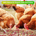 Fokzucyo Chicken Nesting Herbs 14oz Natural Premixed 8 Dried Flowers Herbs by Deal US