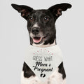 Guess Pregnancy Announcement Dog Bandana Christmas Pet Accessory by Deal US