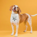 Guess Pregnancy Announcement Dog Bandana Christmas Pet Accessory by Deal US