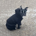 Dog Hoodie Pet Jumpsuit Fleece Sweatshirt Buttons Winter Warm Cotton Size Medium by Deal US