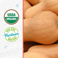 Winter Waltham Butternut Squash Seed Packet 2.8g Heirloom Planting by Deal US