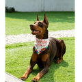 Big Brother Bandana Dog Birthday Double Layer Fabric Blue X-Large Size XL by Deal US
