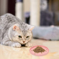 Balacoo Ceramic Cat Food Bowl Shallow Whisker Friendly Indoor Dish by Deal US