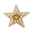 Gold Rhinestone Five-Pointed Star Iron On Patch 2pcs for Backpack Shoes Jeans by Deal US