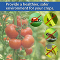 Daksha Ultra Fine White Garden Netting 2.4x3m 7.8x9.8ft Mosquito Plant Cover by Deal US