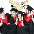 Glitter Class of 2025 Lawyer Graduation Banner Decor Party Supplies by Deal US