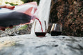 Vapur Collapsible Portable Wine Carrier with Pour Spout 25oz Rose by Deal US