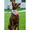 2 Pack Dog Bandanas – White Cute Birthday Pet Scarf for Dogs & Cats, XL by Deal US