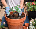 O-FarFarm Organic Potting Soil Mix 2qt Vegetable & Indoor Plants Soil by Deal US