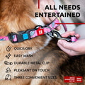 WAUDOG Nylon Dog Leash Heavy Duty 4 Ft for Small & Medium Dogs by Deal US